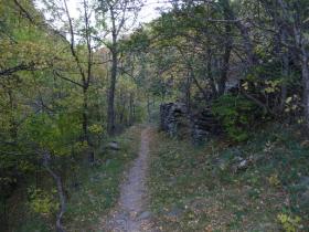 photo coins arrondis